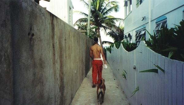 L 663990f4b274948ced302a875293de11